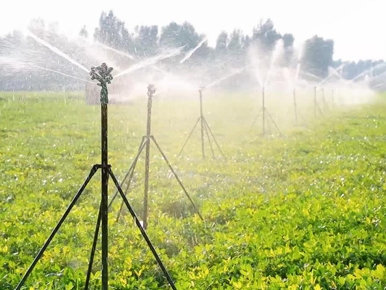 农田灌溉应用现场
